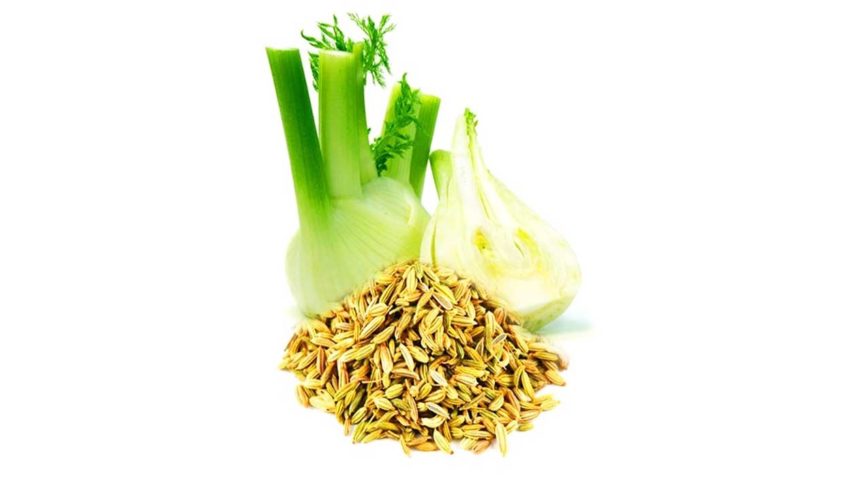 با خواص رازیانه برای بدن بیشتر آشنا شوید