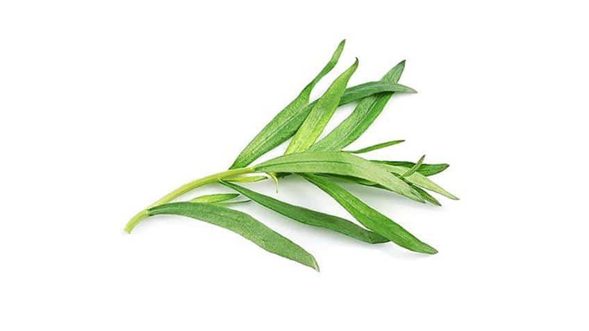 خواص ترخون و فواید آن در طب سنتی و جدول ارزش غذایی ترخون خشک