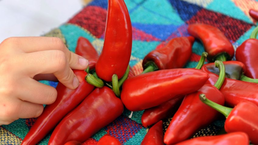 عاشقان فلفل این غذاهای تایلندی را امتحان کنند