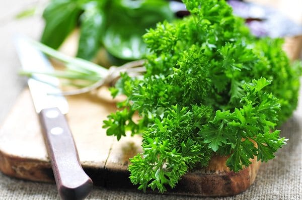 سبزی آش چیست: آشنایی با سبزی آش‌های ایرانی؛ آش رشته، دوغ، شله قلمکار، انار و…