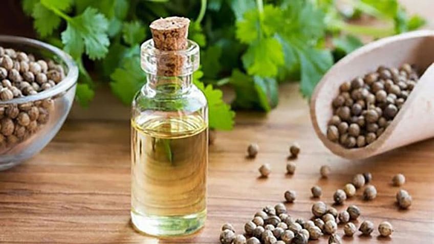 خواص تخم گشنیز: فواید و عوارض و جدول ارزش غذایی آن