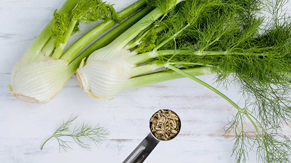 خواص رازیانه برای سلامتی