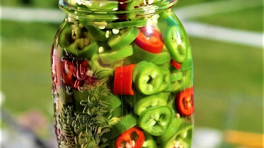 ترشی فلفل سبز فوری